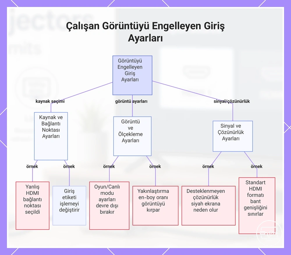 Çalışan Görüntüyü Engelleyen Giriş Ayarları